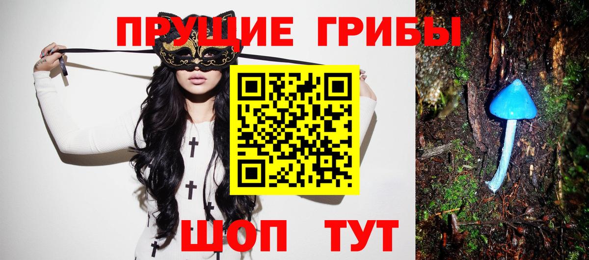 Псилоцибиновые грибы GOLDEN TEACHER  Псилоцибиновые грибы MAGIC MUSHROOMS  Вход с VPN  Россия 