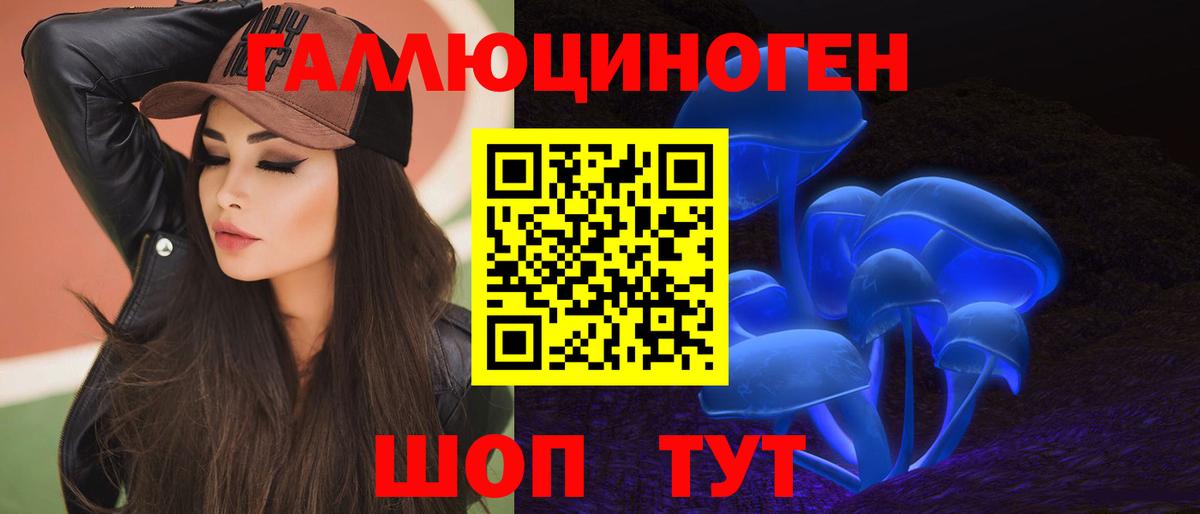 Псилоцибиновые грибы Cubensis Россия